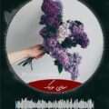 دانلود آهنگ La Vie En Rose از Emily Watts