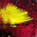 آهنگ هندی شاوا شاوا