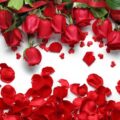 آهنگ ترکی Ihanetin Bekcisi از Lara