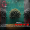 روکوشا وایبز 4 از دیجی روکوشا RokoshaA Vibes کاور روکوشا وایبز 4