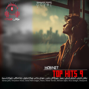 تاپ هیتس 9 از دیجی هورنت Dj Hornet – Top Hits کاور تاپ هیتس 9