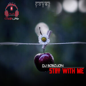 آهنگ Dj Bobojon – Stay With Me کاور Stay With Me