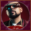 دانلود آهنگ Spice - Go Down Deh ft. Sean Paul Shaggy