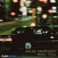 کاور آهنگ Woma Tnrp (Slowed & Reverb) - Dalip Shekhawat