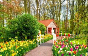 دانلود اهنگ جان گولوم از مناف اهنگ جان گولوم از مناف