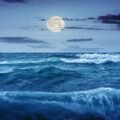 دانلود آهنگ ترکی Denize Ay Vurmus Bana Ne دنیزه آی وورموش بانا نه