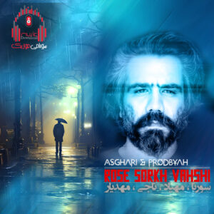 ریمیکس تو شب سرد کلانشهر برف انبوه بسته بود ارتباط و راه رو کاور ریمیکس رز سرخ وحشی