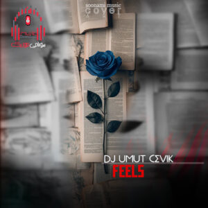 دانلود آهنگ Feels – Dj Umut Çevik کاور Feels (Dj Umut Cevik)