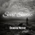 اهنگ Sevil Sevinc Derdin Nedir
