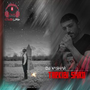 ریمیکس تو تنهایی قلبم یه شب نقش تو افتاد از هایده ، اپیکور و حامد فرد کاور دیجی یاشار