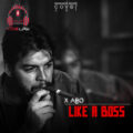 کاور X Albo - Like a Boss
