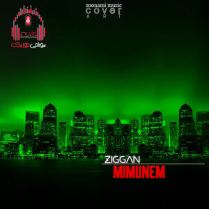 کاور Ziggan - Mimunem