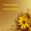 آهنگ Arnavut kaldirimi از Demet Sagiroglu