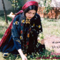 شمس الله منصوری بایه بایه