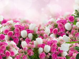 دانلود آهنگ لا لا لا لا با صدای ابراهیم تاتلیس آهنگ لا لا لا لا با صدای ابراهیم تاتلیس