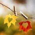 دانلود آهنگ هندی دل ده دیاهه Dil De Diya Hai