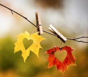 دانلود آهنگ هندی دل ده دیاهه Dil De Diya Hai دانلود آهنگ هندی دل ده دیاهه Dil De Diya Hai