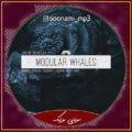 دانلود آهنگ Jacob Seville - Modular Whales DRKSLSH Remix