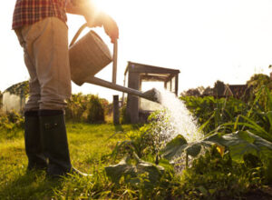 آهنگ افغانی سلام عزیز دلم از ولی سازش و سراج پوپل سلام عزیز دلم