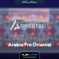 دانلود آهنگ ریمیکس Arabia Pro Oriental
