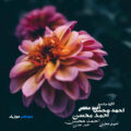 کاور آهنگ احمد محسن ترند اینستا
