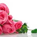 ژینا گل من با صدای شادمهر عقیلی