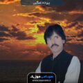 دانلود آهنگ بی وفا هو بی وفا از پیرداد غمگین