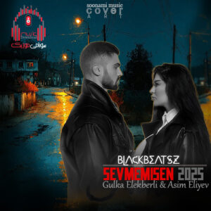 اهنگ ترکی دملی چاره نه سنین گتمینددی نه منیم قالماقیم دادی ریمیکس بیسدار کاور ریمیکس سئوممیشن