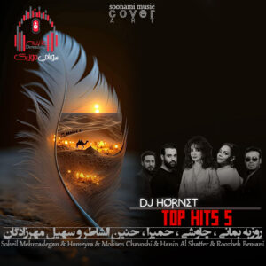 دانلود تاپ هیتس 5 از دیجی هورنت کاور تاپ هیتس 5